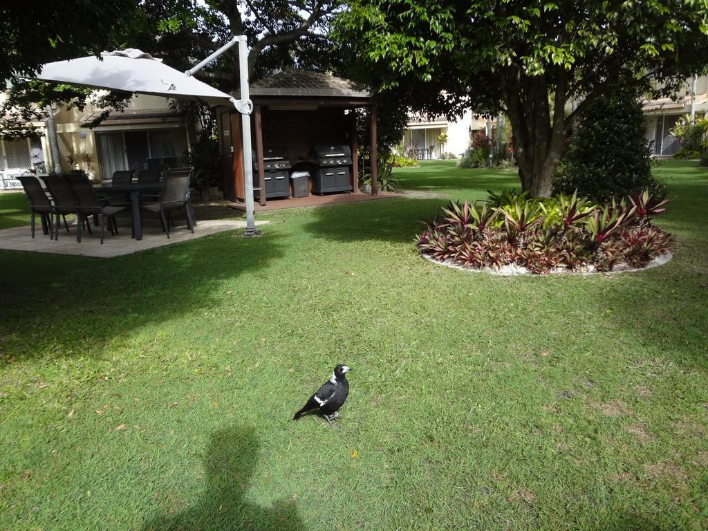 Noosa Gardens Riverside Resort Noosaville Oda fotoğraf